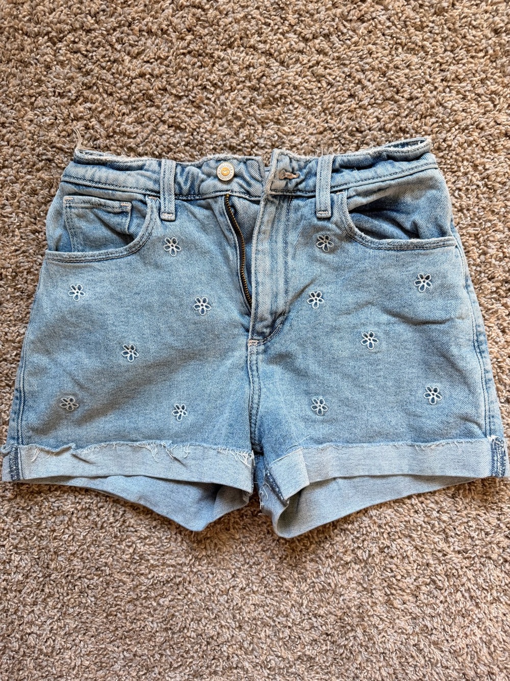 Hollister Light Blue Daisy Embroidered Denim Shorts
